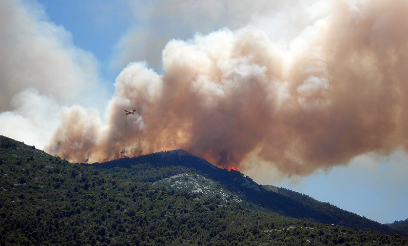 Incendi boschivi: approvate le disposizioni del Decreto Incendi