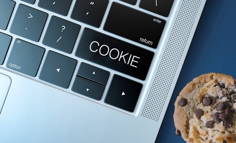 Cosa sono i Cookie e a che cosa servono