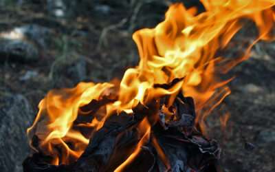 Incendi, conoscerne le cause per prevenirli al meglio