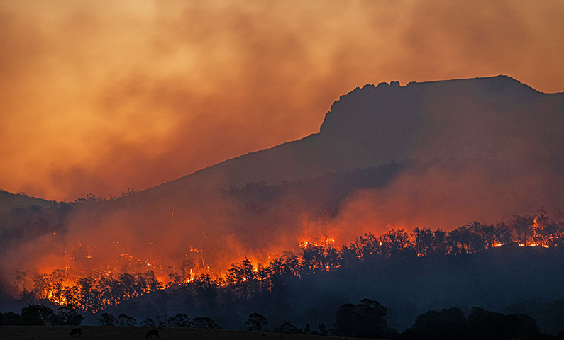 Incendi boschivi in Emilia-Romagna: attività di controllo e prevenzione